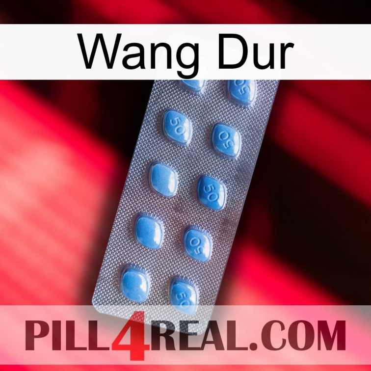 Hard Wang viagra3